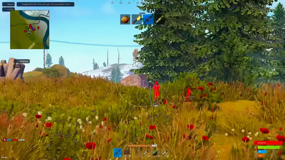Rust cheat red silhouette ESP with distance tags in an open grassy field
